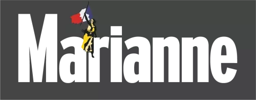 Logo Marianne - Gris