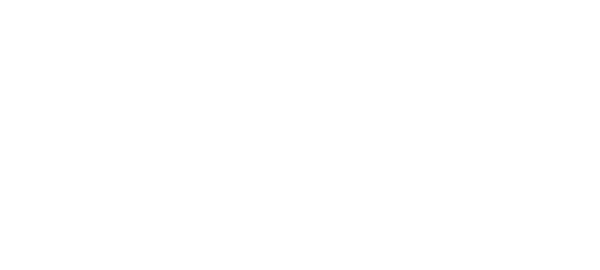 Logo Public Blanc