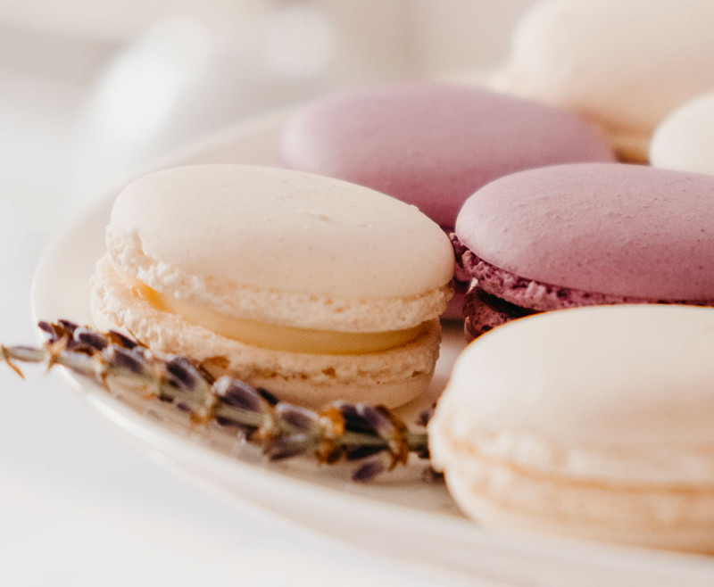 Vignette food Solutions digitales
