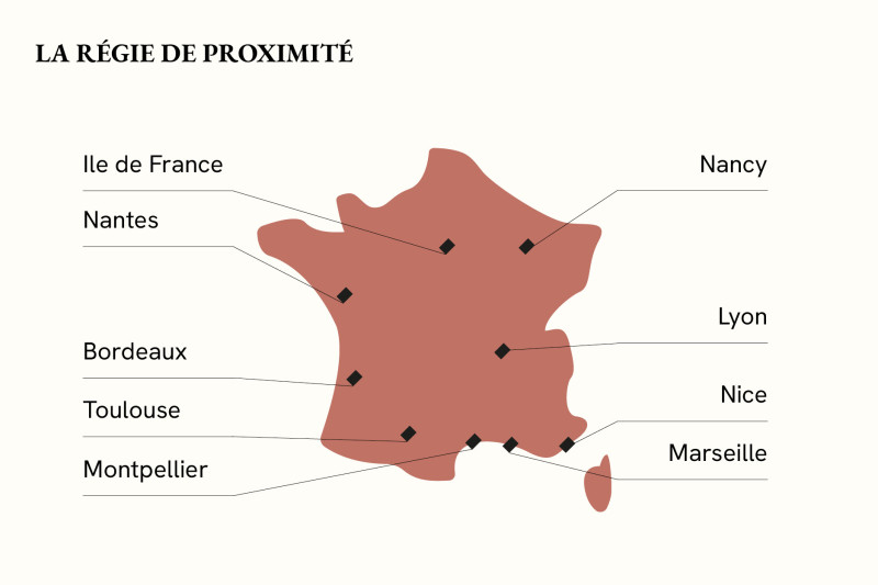 visuel regions